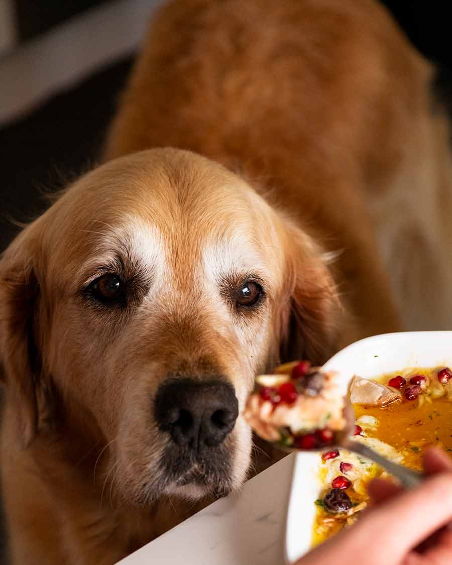 Dozer Christmas Baked Salmon