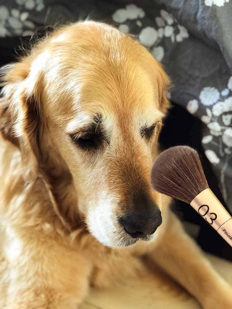 Dozer make up brush