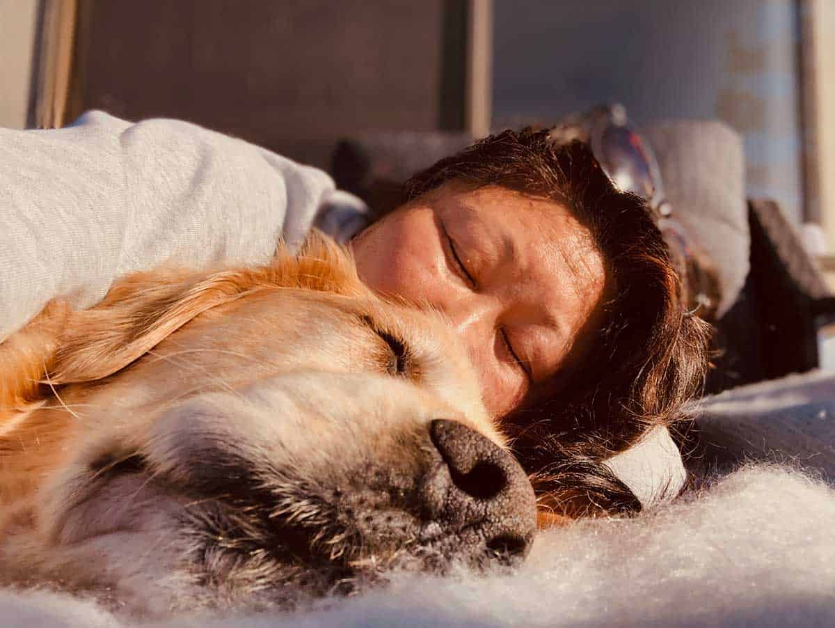 Nagi and Dozer snoozing in winter sun - July 2019