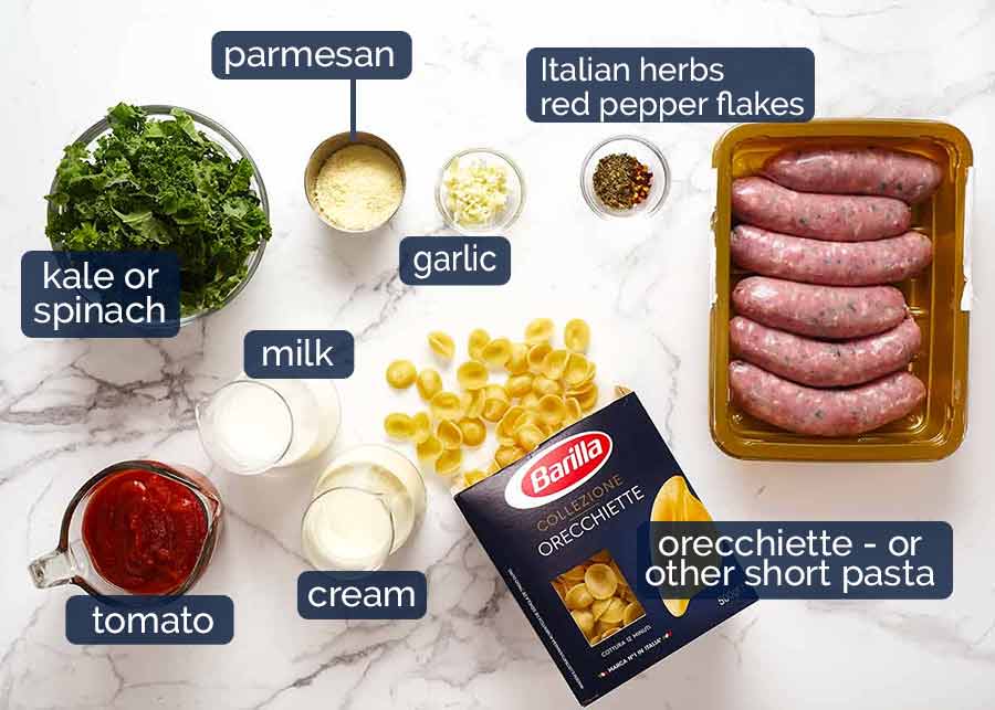 What goes in Orecchiette Sausage Pasta in Creamy Tomato Sauce