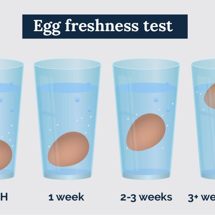 How to tell how fresh an egg is